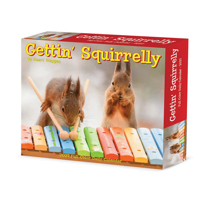 Willow Creek Eekhoorn Scheurkalender 2027 Boxed