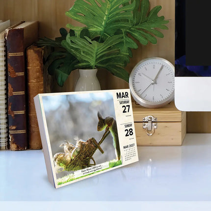 Willow Creek Eekhoorn Scheurkalender 2027 Boxed