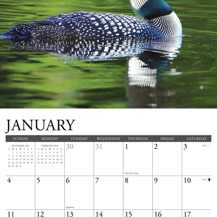 Willow Creek Eenden Kalender 2026