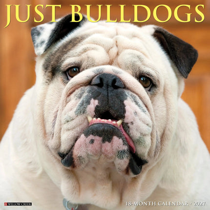 Willow Creek Engelse Buldog Kalender 2026