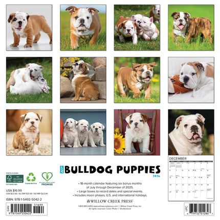 Willow Creek Engelse Bulldog Puppies Kalender 2027