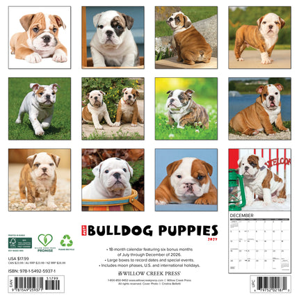 Willow Creek Engelse Bulldog Puppies Kalender 2027