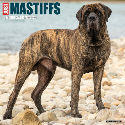 Willow Creek Engelse Mastiff Kalender 2025