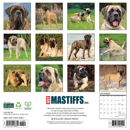 Willow Creek Engelse Mastiff Kalender 2025
