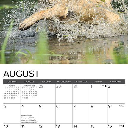 Willow Creek Engelse Mastiff Kalender 2025