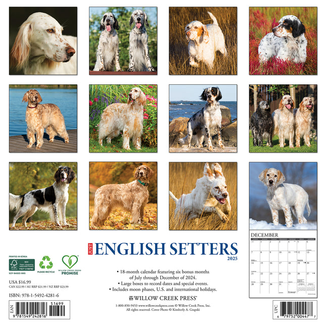 Willow Creek Engelse Setter Kalender 2025