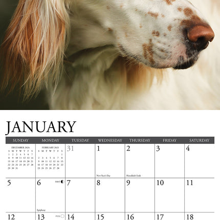 Willow Creek Engelse Setter Kalender 2025