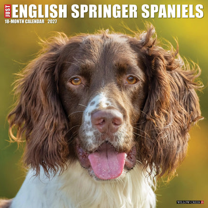 Willow Creek Engelse Springer Spaniel Kalender 2026