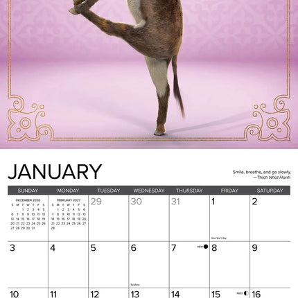 Willow Creek Ezel Yoga Kalender 2027
