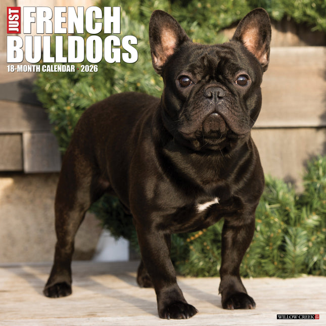 Willow Creek Franse Bulldog Kalender 2026