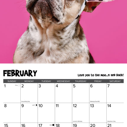 Willow Creek Franse Bulldog Kalender 2026