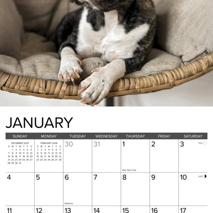 Willow Creek Franse Bulldog Kalender 2027