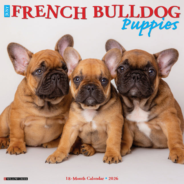 Willow Creek Franse Bulldog Puppies Kalender 2026