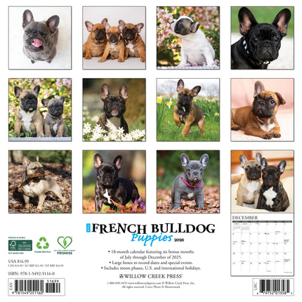 Willow Creek Franse Bulldog Puppies Kalender 2027