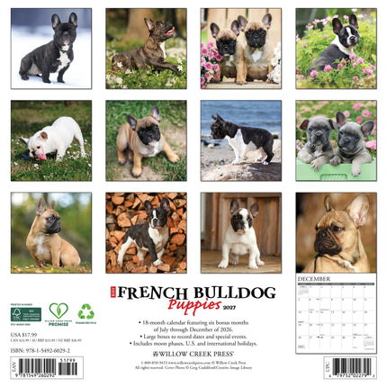 Willow Creek Franse Bulldog Puppies Kalender 2027