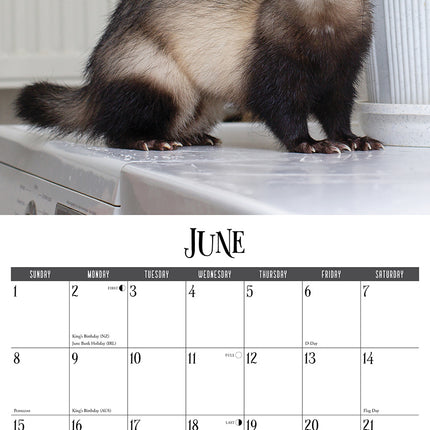 Willow Creek Fretten Kalender 2025
