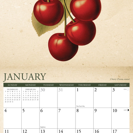 Willow Creek Fruit Kalender 2026