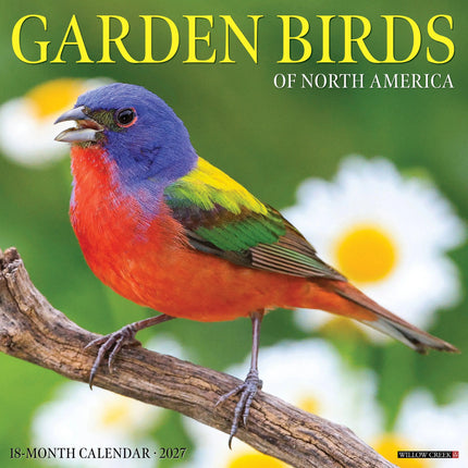 Willow Creek Garden Birds Kalender 2027