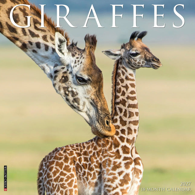Willow Creek Giraffen Kalender 2027