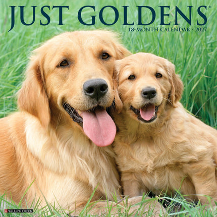 Willow Creek Golden Retriever Kalender 2027