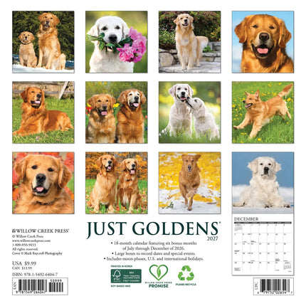 Willow Creek Golden Retriever Kalender 2027 Mini