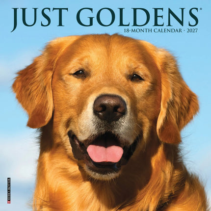 Willow Creek Golden Retriever Kalender 2027 Mini