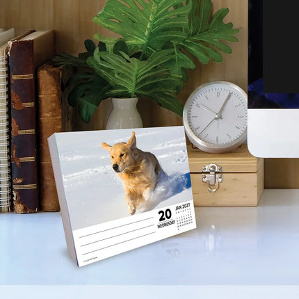 Willow Creek Golden Retriever Scheurkalender 2027 Boxed