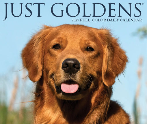 Willow Creek Golden Retriever Scheurkalender 2027 Boxed