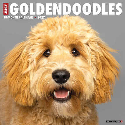 Willow Creek Goldendoodle Kalender 2027