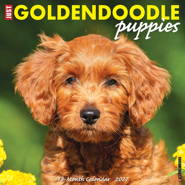 Willow Creek Goldendoodle Puppies Kalender 2026