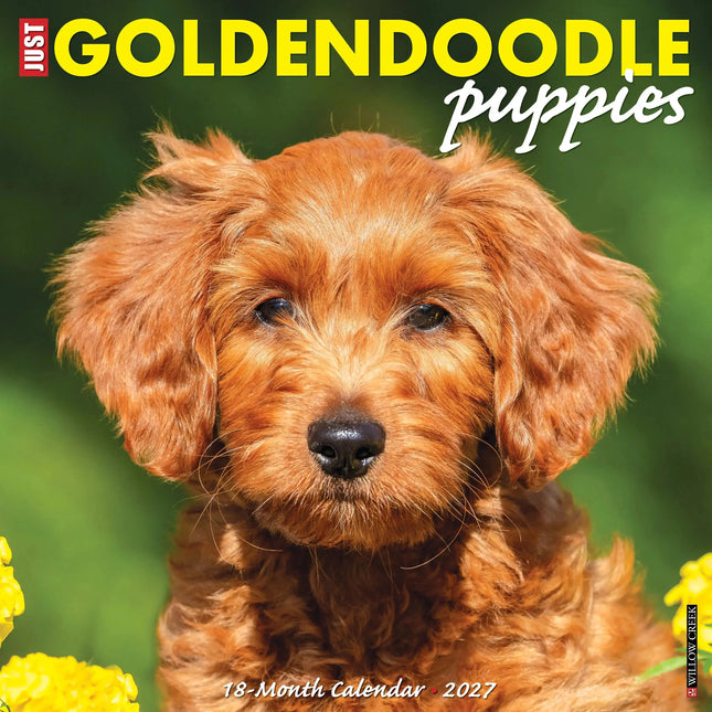 Willow Creek Goldendoodle Puppies Kalender 2027