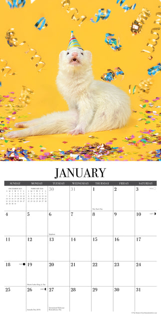 Willow Creek Grappige Fret Kalender 2026