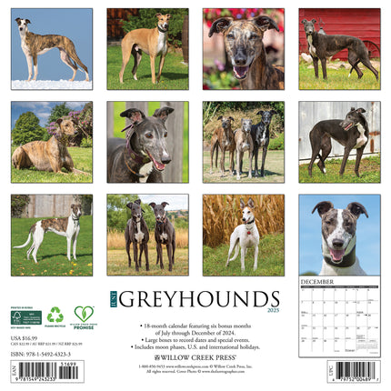 Willow Creek Greyhound Kalender 2025