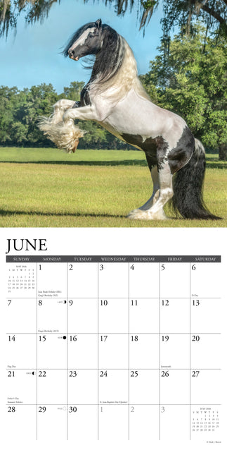 Willow Creek Gypsy Vanner Kalender 2026