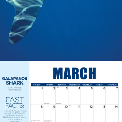 Willow Creek Haaien Kalender 2026