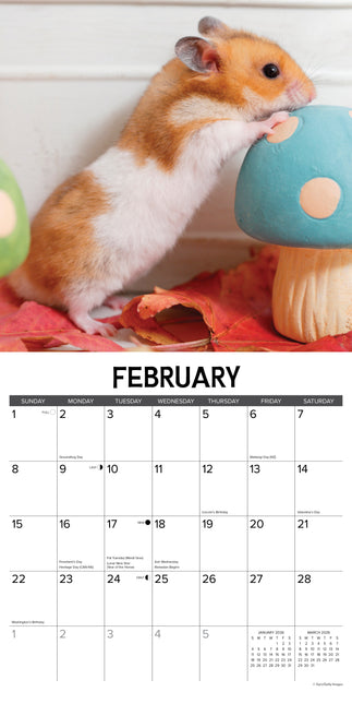 Willow Creek Hamsters Kalender 2026