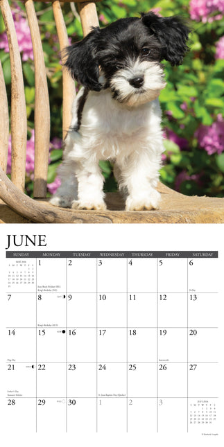Willow Creek Havanezer Kalender 2026