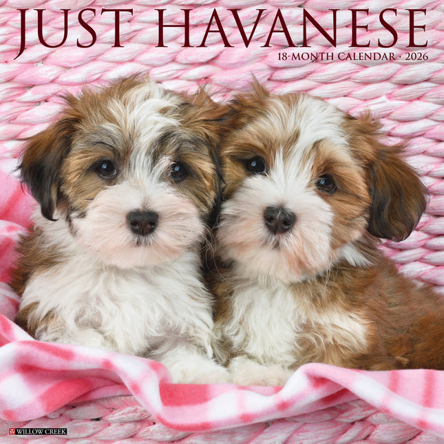 Willow Creek Havanezer Kalender 2026