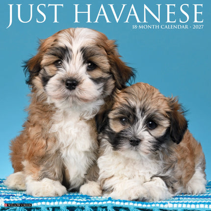 Willow Creek Havanezer Kalender 2027