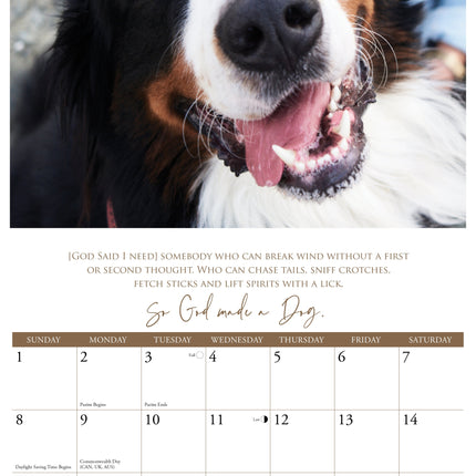 Willow Creek Honden Kalender 2026