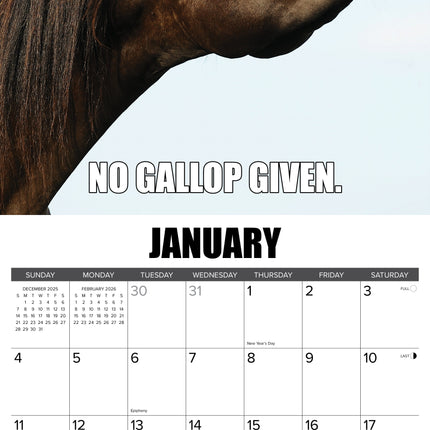 Willow Creek Horsin Around Kalender 2026