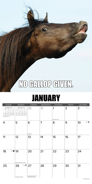 Willow Creek Horsin Around Kalender 2026