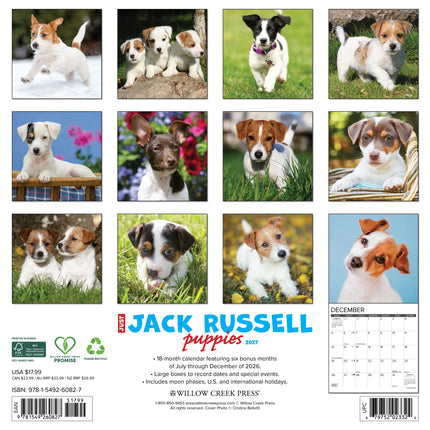 Willow Creek Jack Russell Terrier Puppies Kalender 2027