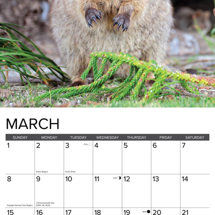 Willow Creek Kangoeroe Kalender 2026