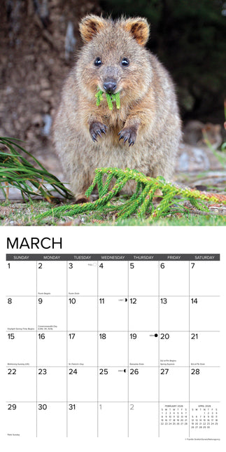 Willow Creek Kangoeroe Kalender 2026