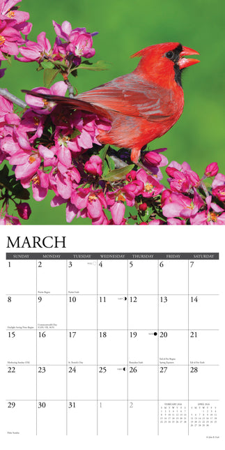 Willow Creek Kardinaal Kalender 2026