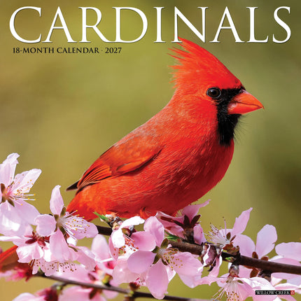 Willow Creek Kardinaal Kalender 2027