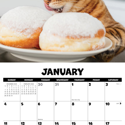 Willow Creek Katten Chat Kalender 2026
