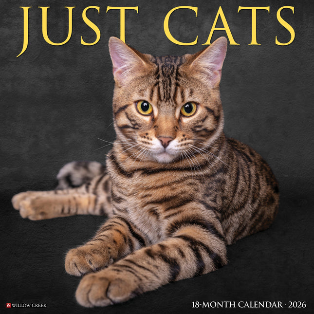 Willow Creek Katten Kalender 2026