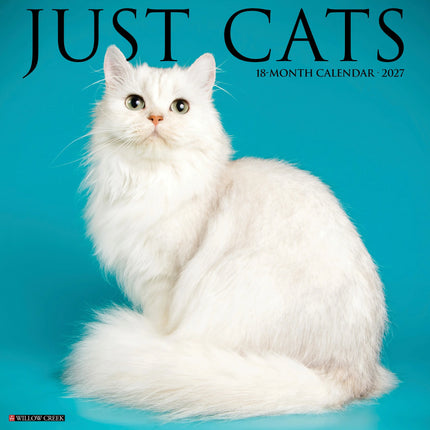 Willow Creek Katten Kalender 2027